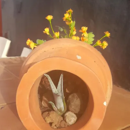 Casa La Gollada カントリーハウス