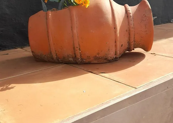 Landhuis Casa La Gollada Cazadores